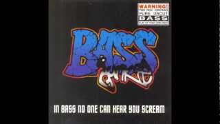 Bass Junkie - Transmitting on all frequencies