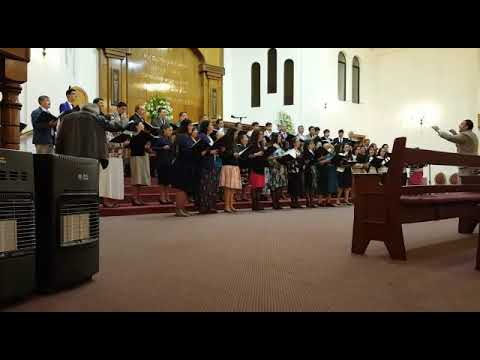 TÚ MI CARRO GUÍA BUEN SEÑOR - Coro IEP Viña del Mar