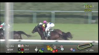 【フリーター競馬実況】2025愛知杯　ワイドラトゥール（北村友一）