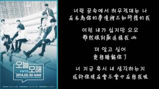 【韓中字】 iKON 아이콘 - 오늘 모해 (#WYD) Lyrics with Hangul