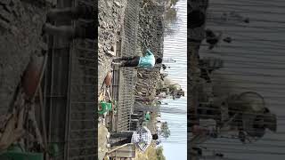 preview picture of video 'NH-548D Patoda bridge Abutment Raft Concrete'