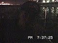Sublime Live At E's Live 3-24-1991