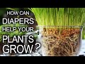 Diapers Help Your Plants Grow! 