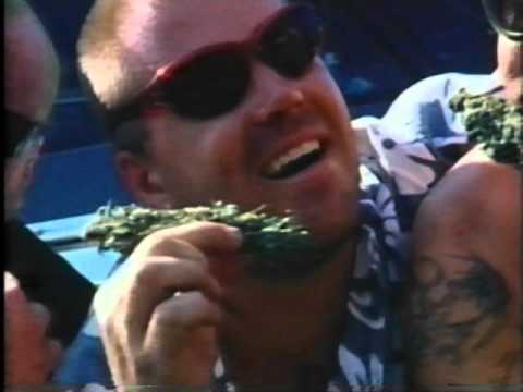 sublime - Behind The Music