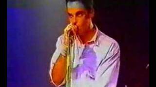 Los Nikis - Luis Enrique