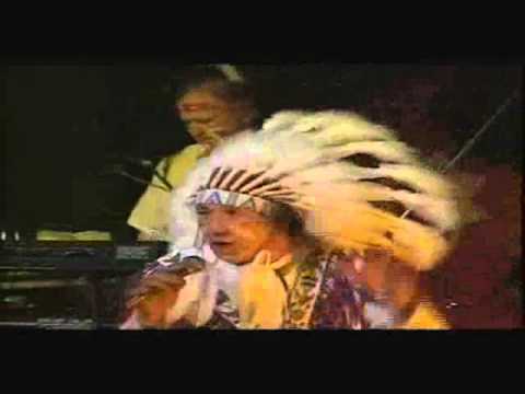 The Indians - Wild Blood