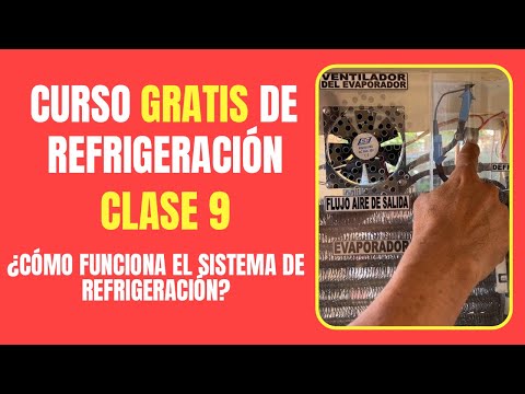 Ver en YouTube