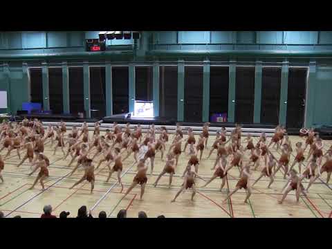 Opvisning Dgi Byen 2019 - Sorø Gymnastikefterskole