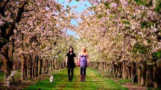 Von einer Art (Acoustic Version) - Tier feat. Alexander Hacke