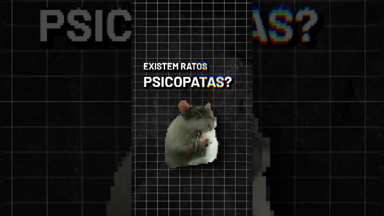 Existem ratos psicopatas? #ciência #curiosidades #ratos #psicopatia #psicologia