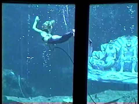 Malizia's in Florida early 1990's