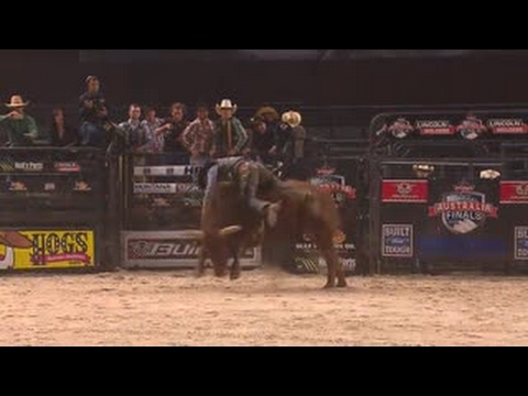 PBR BIG BUCK OFFS