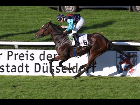 Düsseldorf: Großer Preis der Landeshauptstadt Düsseldorf (Gruppe 3) - Siegerin: Queenie