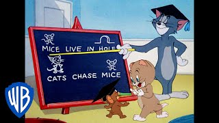 Tom & Jerry  Lessons Learned!  Classic Cartoon