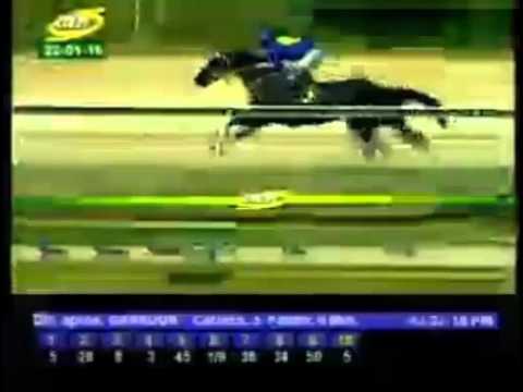 VALENCIA 5 CARRERA, VIERNES 22 DE ENERO DEL 2016