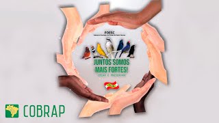 A Importância da Criação de Pássaros em Ambiente Doméstico