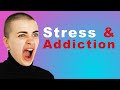 Stress And Addiction The Link Between Them How To Survive