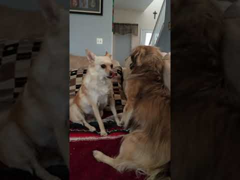 When your girlfriend wants to make out in front of your parents.