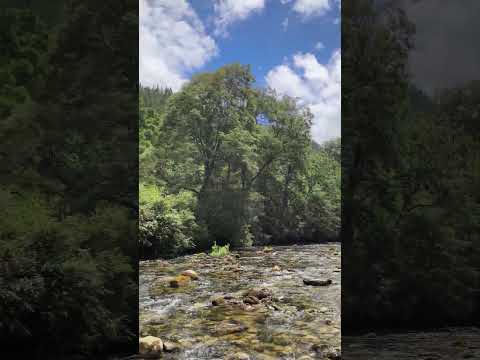 #fishing región del bio bio cañete