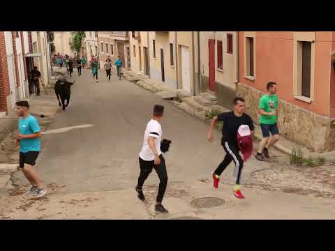 Toro de Cajón en Hinojosa de Duero