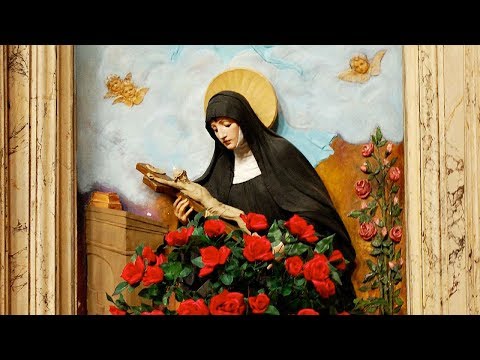 Click to Watch the St. Rita video Click to Watch the St. Rita video