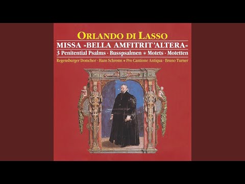 Motette für Chor und Ensemble: Tristis est anima mea