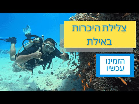 תמונה של هابي دايفرز إيلات