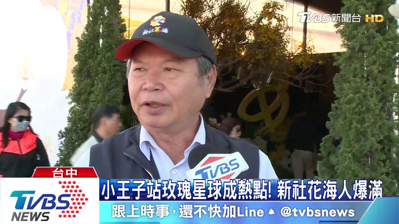 小王子站玫瑰星球成熱點! 新社花海人爆滿