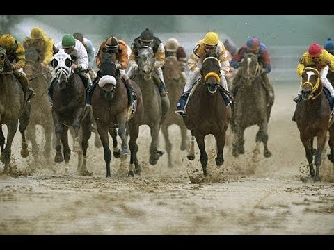 RaceHorse Digest: May 1994 - Kentucky Derby Episode