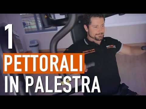 Esercizi PETTORALI Palestra / Allenamento PETTORALI massa