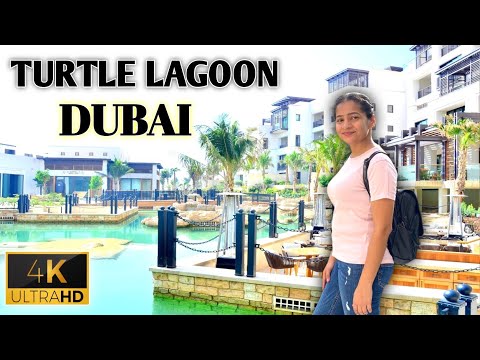 Free Place To Visit in Dubai | Jumeirah Turtle Lagoon | Hidden Gems in Dubai UAE