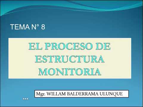 Tema 8 Proceso de Estructura Monitoria