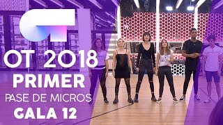 &quot;HUMAN&quot; - GRUPAL | PRIMER PASE DE MICROS GALA 12 | OT 2018