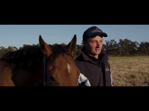 Equine Management Graduate Ryan Arnel shares his story