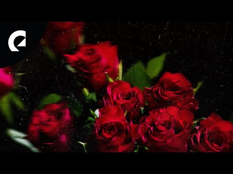 Roy Edwin Williams - My Valentine (Royalty Free Music)