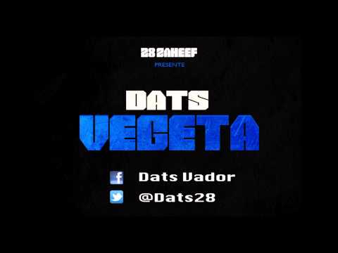 DATS [28 ZAHEEF] - MAJIN VEGETA