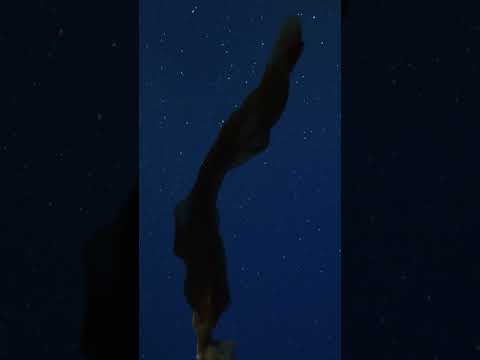 Video Thumbnail: Gigantische Qualle taucht plötzlich auf