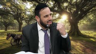 אין לי עסק עם כאלה רבנים... | פרשת מקץ | הרב דוד פריוף (הרב דוד פריוף) - התמונה מוצגת ישירות מתוך אתר האינטרנט יוטיוב. זכויות היוצרים בתמונה שייכות ליוצרה. קישור קרדיט למקור התוכן נמצא בתוך דף הסרטון אין לי עסק עם כאלה רבנים... | פרשת מקץ | הרב דוד פריוף (הרב דוד פריוף) - התמונה מוצגת ישירות מתוך אתר האינטרנט יוטיוב. זכויות היוצרים בתמונה שייכות ליוצרה. קישור קרדיט למקור התוכן נמצא בתוך דף הסרטון