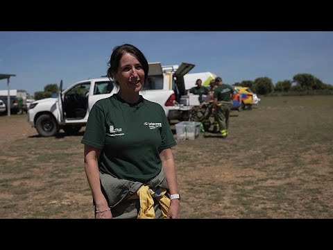 Video Thumbnail: Technologische Fortschritte bei der Waldbrandbekämpfung