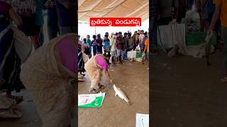 Download lagu 6 Kgs Fish βΉ5,400 π€―π€― Live Fish #reels #viral #video #shorts #shortsfeed #fishing #fish mp3 Download lagu 6 Kgs Fish βΉ5,400 π€―π€― Live Fish #reels #viral #video #shorts #shortsfeed #fishing #fish mp3
