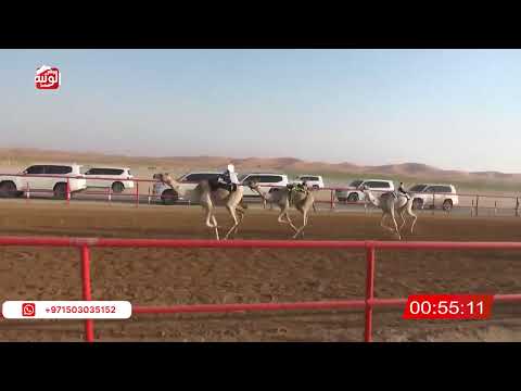  ش 17 (شاهين) لـ حامد بن صغيرون الدرعي 2:18:14 ، شارة الصندوق 2026/05/09 فطامين الرقيعات