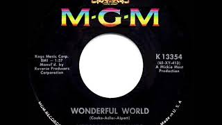1965 HITS ARCHIVE: Wonderful World - Herman’s Hermits