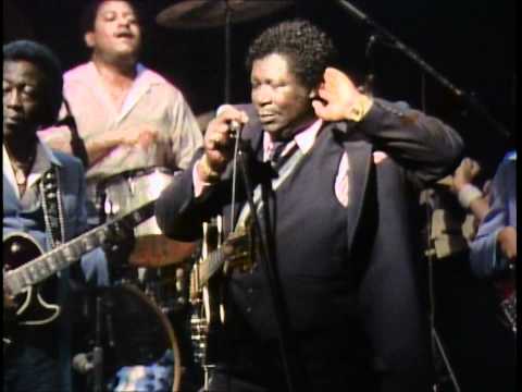 BB King - 05 Sell My Monkey [Live At Nick's 1983] HD