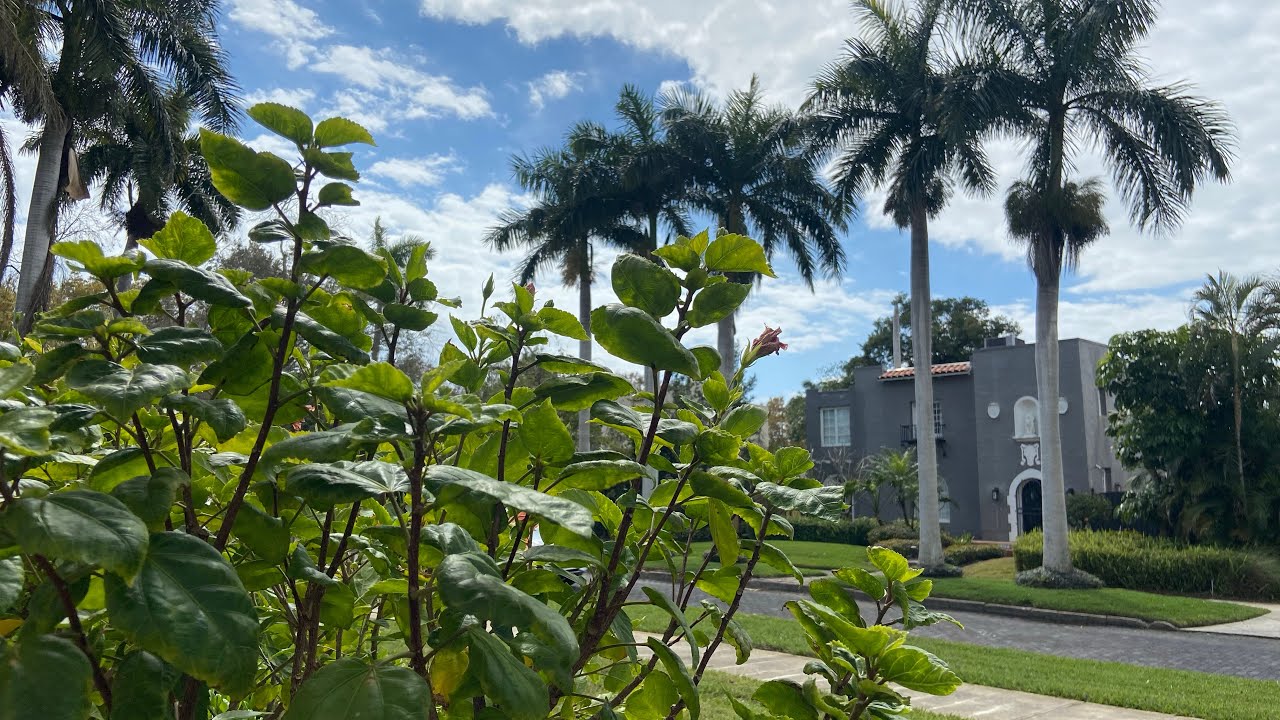 Just Relax Now is live!