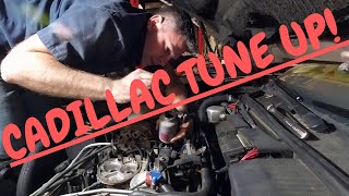 1991 Cadillac DeVille tune up!! P.P.H. Ep. 4