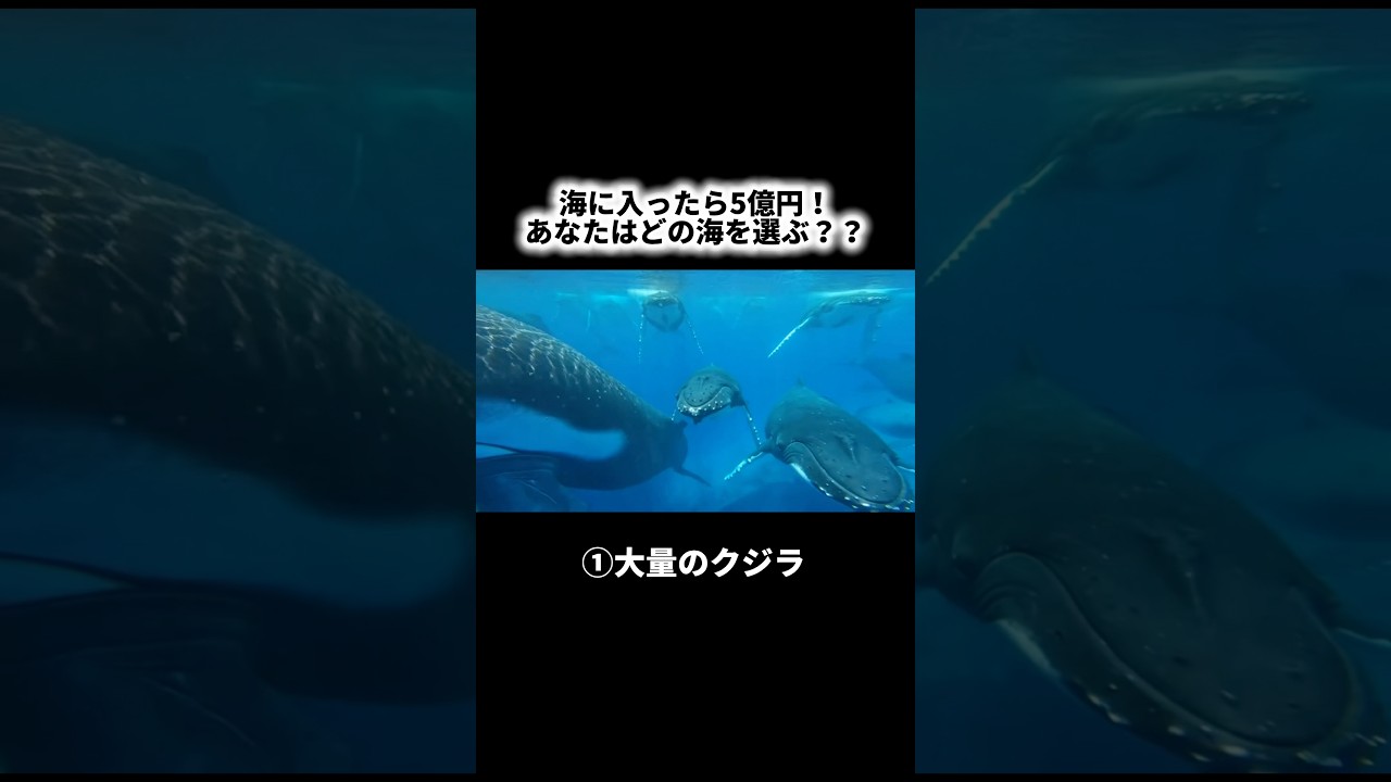 海に入ったら5億円！おなたはどの海を選ぶかコメント欄で教えてね👀 #ai #aivideo #asmr #asmrsounds #shorts