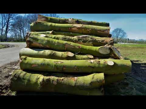 Wandeling omgeving Huys ten Donck Ridderkerk-Slikkerveer