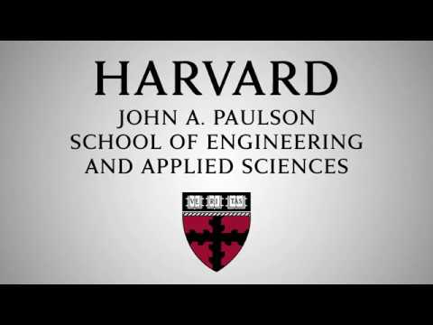 Corey Lee: A Menu at Benu: A Look at Texture and Mouthfeel