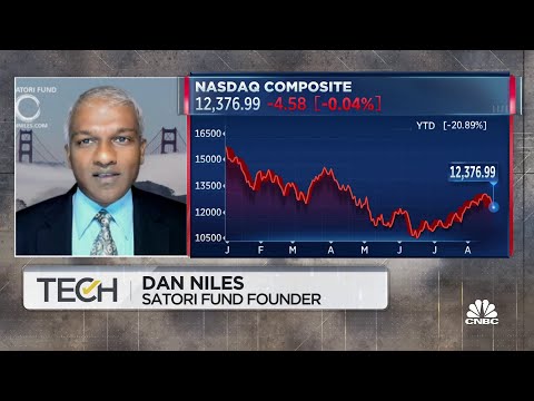 The Fed will have to hike more aggressively to get to 3.8 percent, says The Satori Fund's Dan Niles