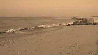 Dove Grey Sands Feeder